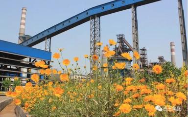 回眸2019(三)|堅持綠色發(fā)展理念 推動企業(yè)高質(zhì)量發(fā)展