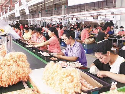 廣西北流市以招商引資工作為抓手推動縣域經濟高質量發展