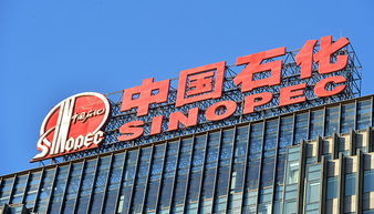 A股77家公司上半年獲政府補貼過億，中國石化成“補貼王”